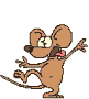 drunk mouse